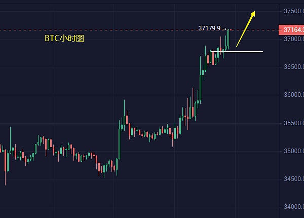 从草根到生态：Canto Network如何用免费重塑DeFi未来